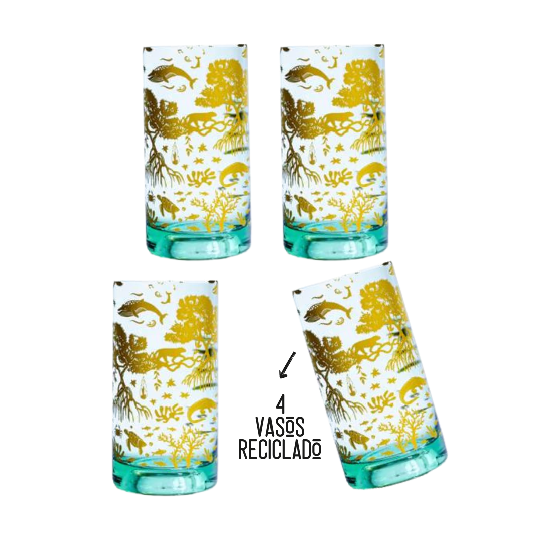 Vasos del Manglar x4 ♻️